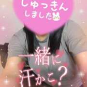 ヒメ日記 2025/05/03 11:20 投稿 大石 錦糸町おかあさん