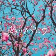 ヒメ日記 2026/02/25 20:00 投稿 大石 錦糸町おかあさん