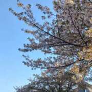 ヒメ日記 2026/04/12 23:30 投稿 大石 錦糸町おかあさん