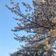 大石 なぁんも、しない日♪ 西船橋おかあさん