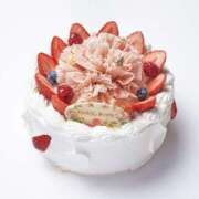 ヒメ日記 2025/04/10 00:32 投稿 ななみ 奥鉄オクテツ和歌山