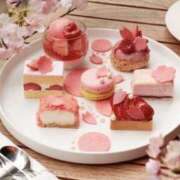 ヒメ日記 2025/04/29 00:40 投稿 ななみ 奥鉄オクテツ和歌山