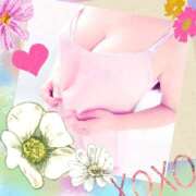 ヒメ日記 2025/06/16 07:41 投稿 みなせ 大和人妻城