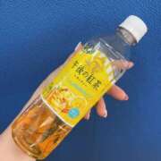 ヒメ日記 2026/09/05 16:39 投稿 めぐ 素人妻御奉仕倶楽部Hip's松戸店