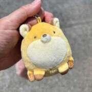 ヒメ日記 2025/05/07 21:49 投稿 ゆら もんぜつちじょ本店