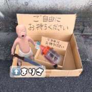 ヒメ日記 2024/12/14 01:25 投稿 まりさ もんぜつちじょ本店