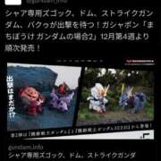 ヒメ日記 2024/12/21 10:25 投稿 まりさ もんぜつちじょ本店