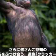 ヒメ日記 2025/02/27 13:36 投稿 まりさ もんぜつちじょ本店