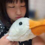 ヒメ日記 2026/09/25 01:49 投稿 ひなの もんぜつちじょ本店