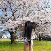 ヒメ日記 2026/04/04 01:29 投稿 まいひめ もんぜつちじょ本店