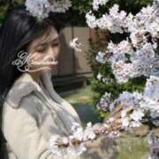 ヒメ日記 2026/04/04 16:49 投稿 まいひめ もんぜつちじょ本店