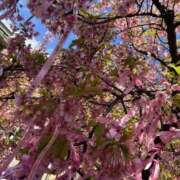 ヒメ日記 2025/03/21 15:25 投稿 あいる もんぜつちじょ本店