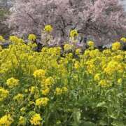 ヒメ日記 2026/03/29 19:59 投稿 あいる もんぜつちじょ本店