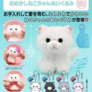 みく ほしい もんぜつちじょ本店