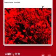 ヒメ日記 2024/12/10 12:45 投稿 みこと もんぜつちじょ本店