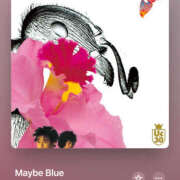 ヒメ日記 2024/12/17 15:42 投稿 みこと もんぜつちじょ本店