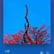 ヒメ日記 2025/01/17 23:25 投稿 みこと もんぜつちじょ本店