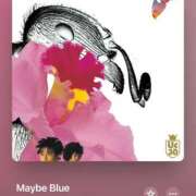 ヒメ日記 2025/03/12 22:05 投稿 みこと もんぜつちじょ本店