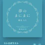 ヒメ日記 2025/04/06 13:59 投稿 みこと もんぜつちじょ本店