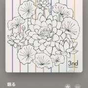 ヒメ日記 2025/04/20 17:29 投稿 みこと もんぜつちじょ本店