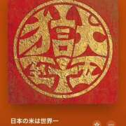 ヒメ日記 2025/04/21 22:09 投稿 みこと もんぜつちじょ本店