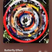 ヒメ日記 2025/06/13 13:09 投稿 みこと もんぜつちじょ本店