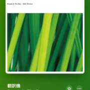 ヒメ日記 2025/06/24 13:09 投稿 みこと もんぜつちじょ本店