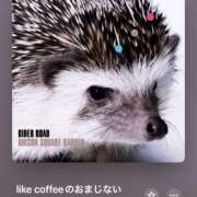 ヒメ日記 2025/10/19 23:59 投稿 みこと もんぜつちじょ本店