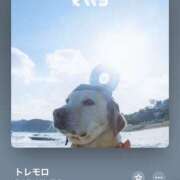 ヒメ日記 2025/11/05 20:29 投稿 みこと もんぜつちじょ本店