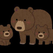 ヒメ日記 2025/11/17 13:29 投稿 みこと もんぜつちじょ本店