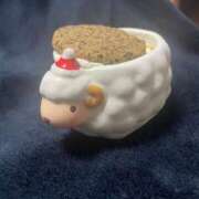 みこと やや出遅れながら！出ます もんぜつちじょ本店