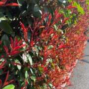 ヒメ日記 2026/03/24 17:19 投稿 みこと もんぜつちじょ本店