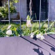 ヒメ日記 2026/04/04 14:19 投稿 みこと もんぜつちじょ本店