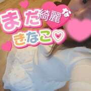 ヒメ日記 2025/02/28 03:25 投稿 きなこ もんぜつちじょ本店