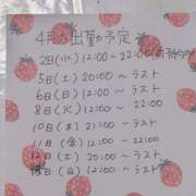 ヒメ日記 2025/03/28 20:09 投稿 きなこ もんぜつちじょ本店