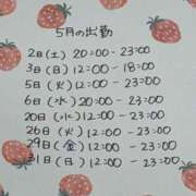 ヒメ日記 2026/05/02 13:29 投稿 きなこ もんぜつちじょ本店