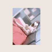 ヒメ日記 2026/06/20 01:36 投稿 みおりCA Line