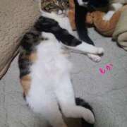 ヒメ日記 2024/12/30 06:05 投稿 もか エンジェルシリカ