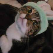 ヒメ日記 2025/10/21 21:59 投稿 もか エンジェルシリカ