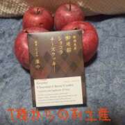 もか T エンジェルシリカ