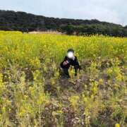 ヒメ日記 2025/03/18 09:03 投稿 かえで One More 奥様　錦糸町店