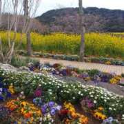 ヒメ日記 2025/03/27 10:23 投稿 かえで One More 奥様　錦糸町店