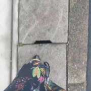 ヒメ日記 2025/08/11 09:23 投稿 かえで One More 奥様　錦糸町店