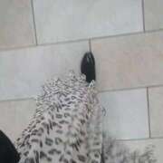 ヒメ日記 2025/09/15 09:23 投稿 かえで One More 奥様　錦糸町店