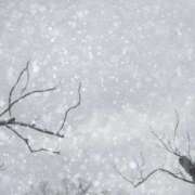 ヒメ日記 2026/02/08 08:43 投稿 かえで One More 奥様　錦糸町店