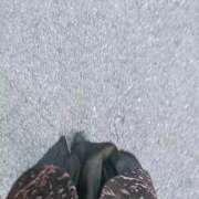 ヒメ日記 2026/03/15 09:13 投稿 かえで One More 奥様　錦糸町店