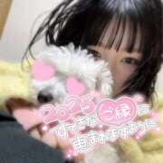 ヒメ日記 2025/01/08 15:01 投稿 らな 神田ハンドメイド