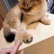 ヒメ日記 2025/04/10 16:01 投稿 もえ  時には彼女に甘えたい♡ Parfaite Luna☆(パルフェットルナ)