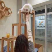 ヒメ日記 2026/05/31 15:21 投稿 もえ  時には彼女に甘えたい♡ Parfaite Luna☆(パルフェットルナ)