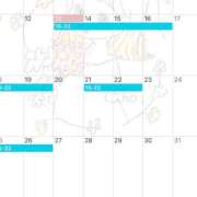 ヒメ日記 2025/05/13 19:16 投稿 Koyuri PROPORTION